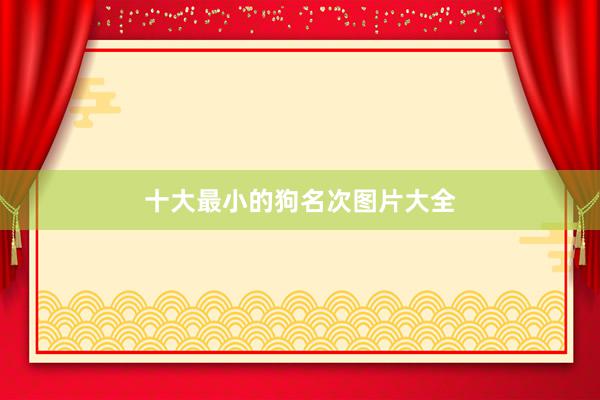 十大最小的狗名次图片大全